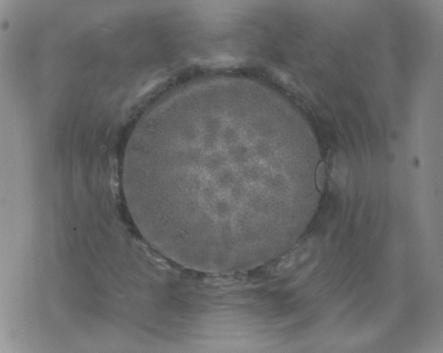 X0000070421301200606231843