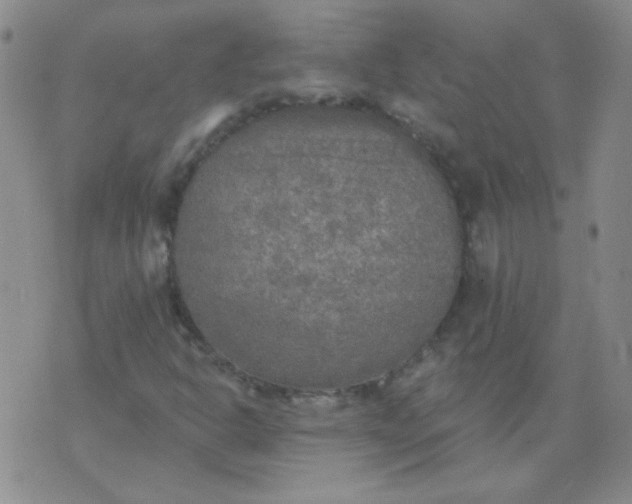 X0000070421302200606231843