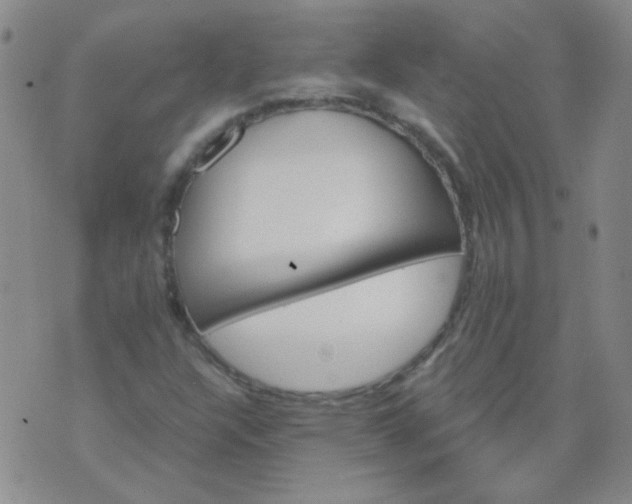 X0000070421304200606231843