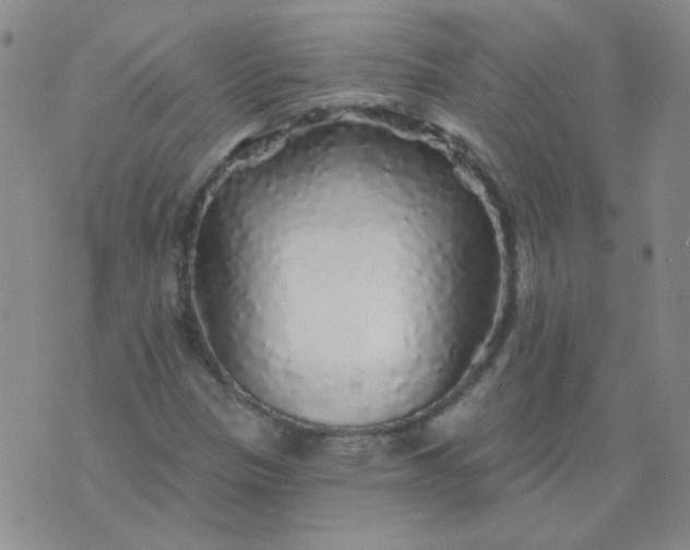 X0000070421305200606231843