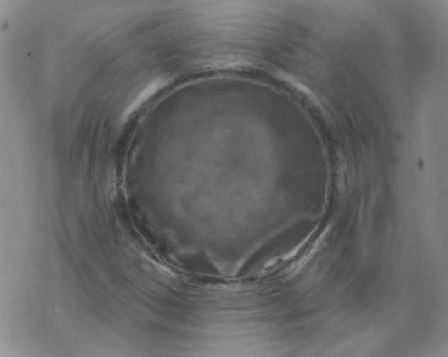 X0000070421306200606231843