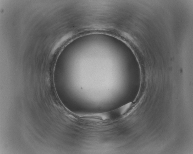 X0000070421307200606231843