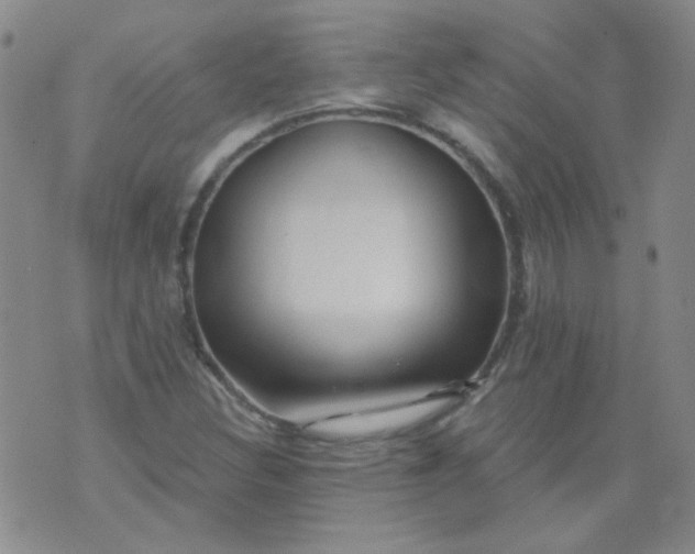 X0000070421308200606231843