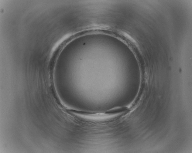 X0000070421310200606231843