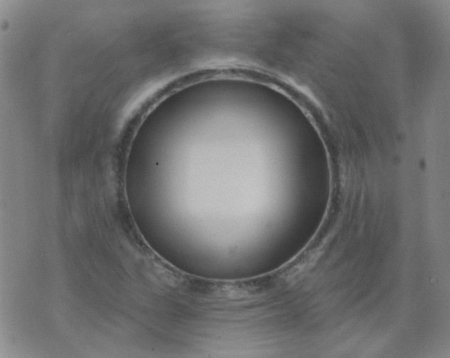 X0000070421311200606231843