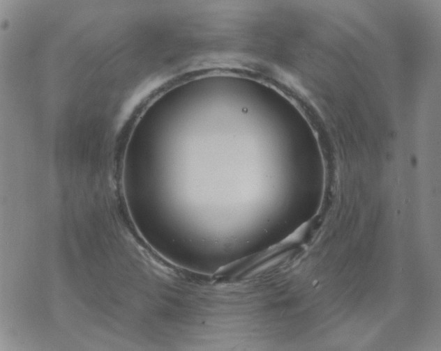 X0000070421312200606231843