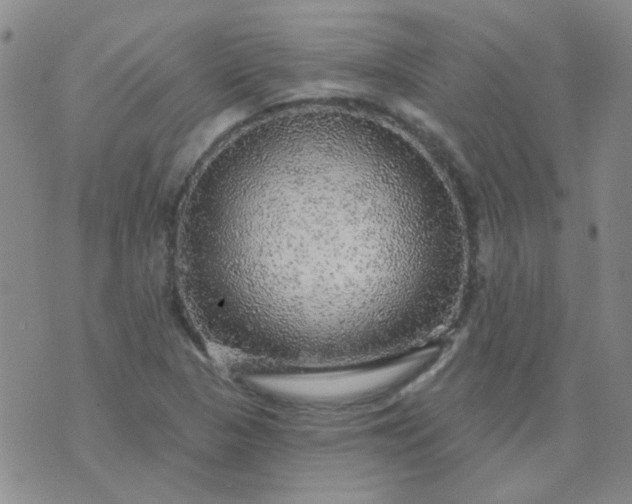 X0000070421313200606231843