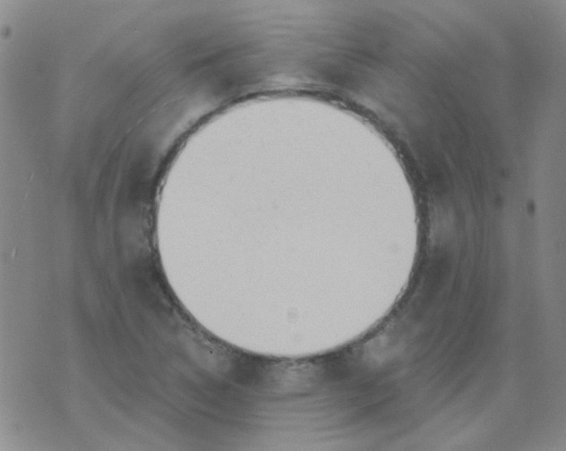 X0000070421314200606231843