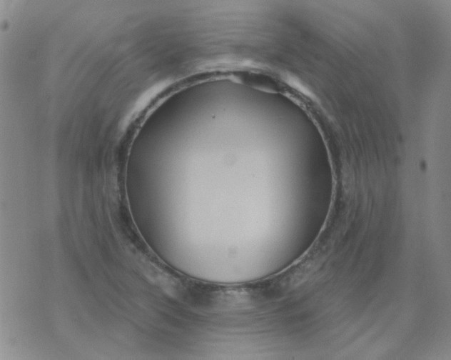 X0000070421315200606231843