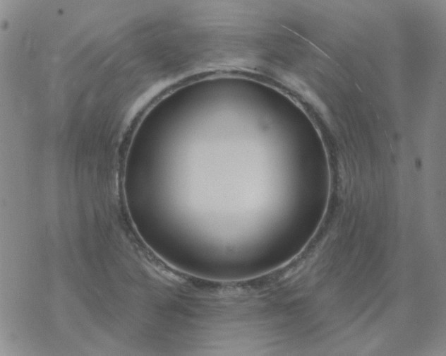 X0000070421316200606231843