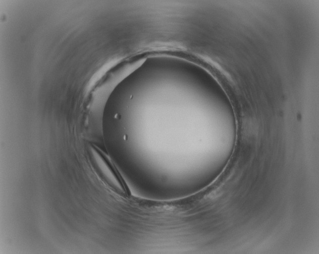 X0000070421317200606231843