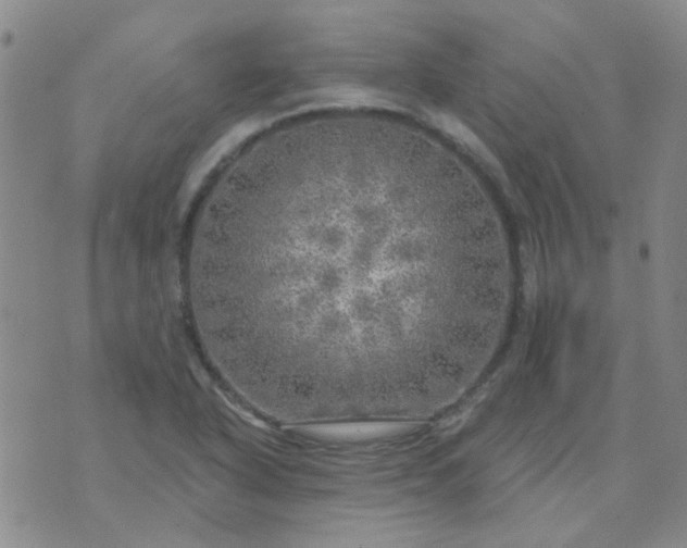 X0000070421318200606231843