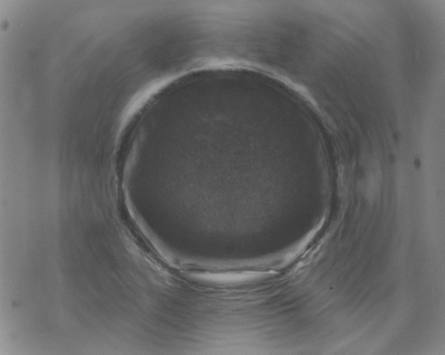 X0000070421319200606231843