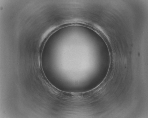 X0000070421320200606231843