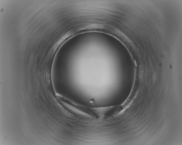 X0000070421321200606231843