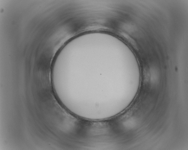 X0000070421322200606231843