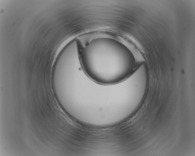 X0000070421324200606231843