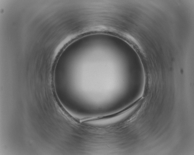 X0000070421326200606231843