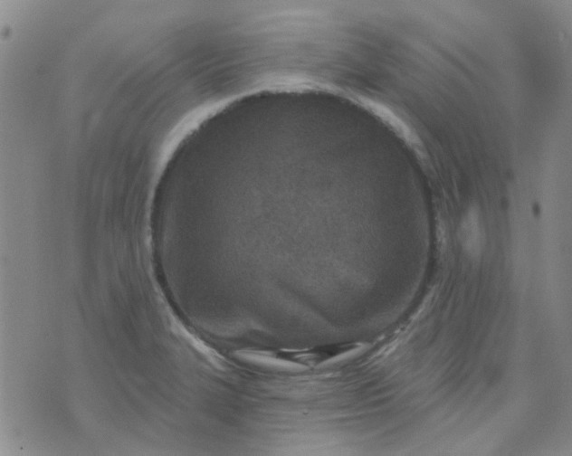 X0000070421327200606231843