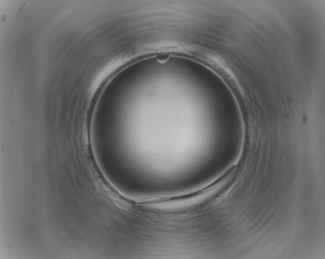 X0000070421328200606231843