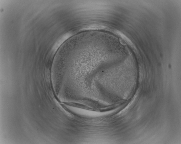 X0000070421329200606231843