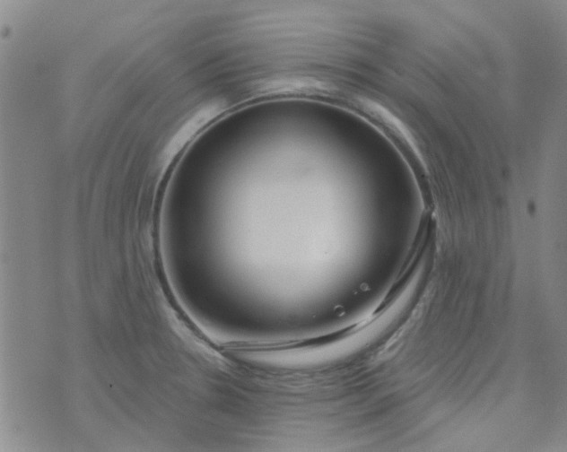 X0000070421330200606231843