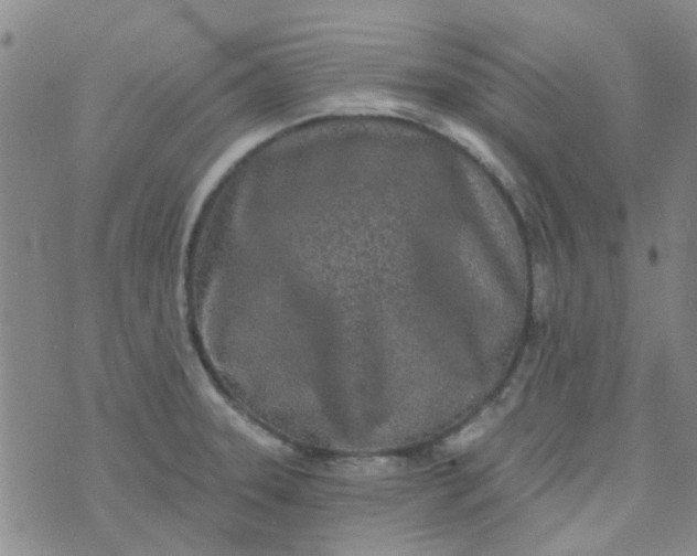 X0000070421331200606231843