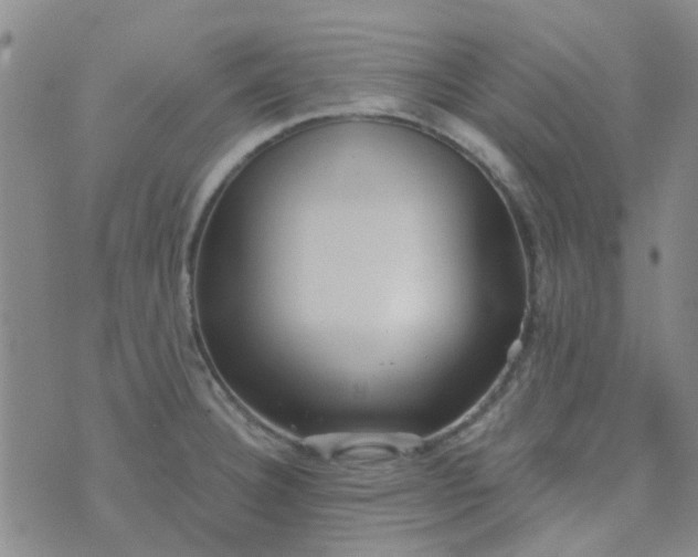 X0000070421332200606231843