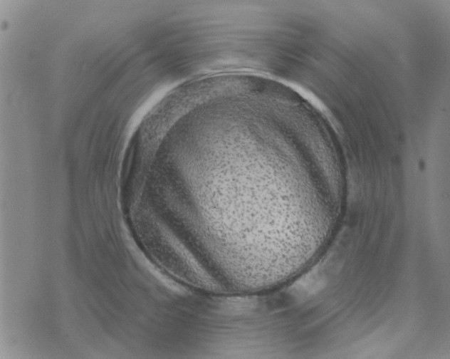 X0000070421333200606231843