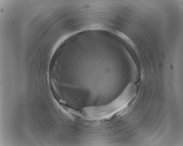 X0000070421334200606231843