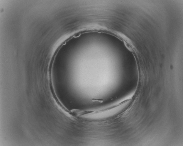 X0000070421335200606231843