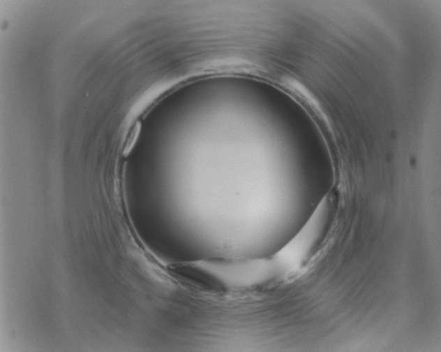 X0000070421336200606231843