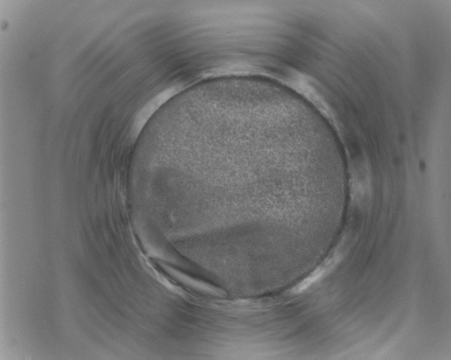 X0000070421337200606231843