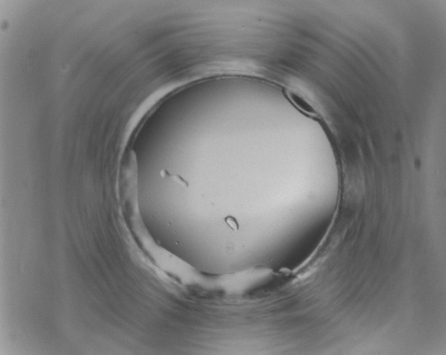 X0000070421339200606231843