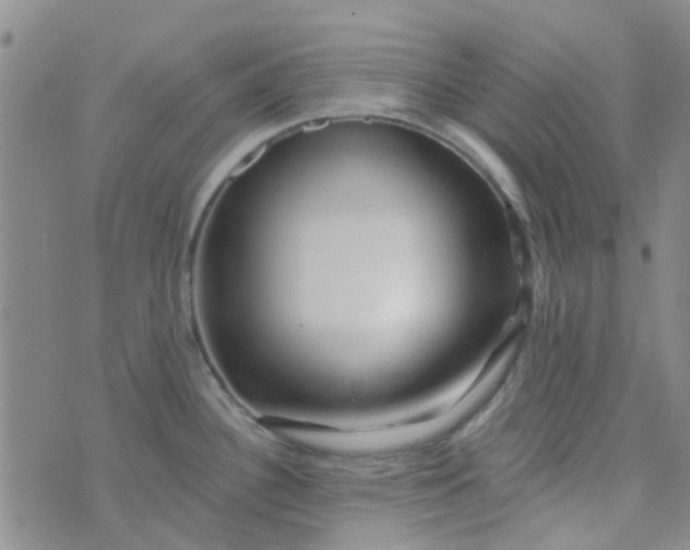 X0000070421340200606231843