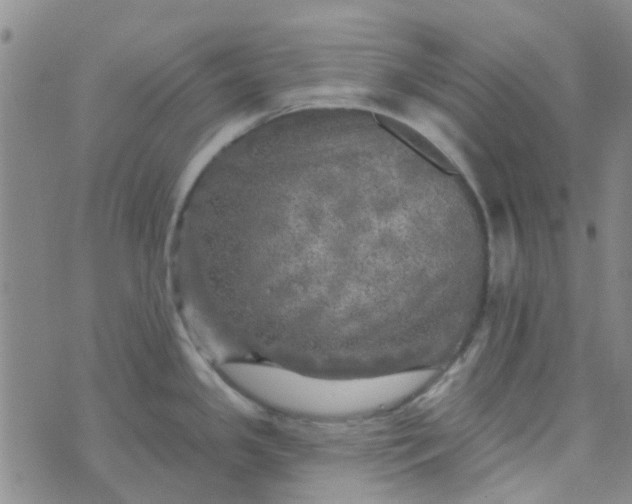 X0000070421341200606231843