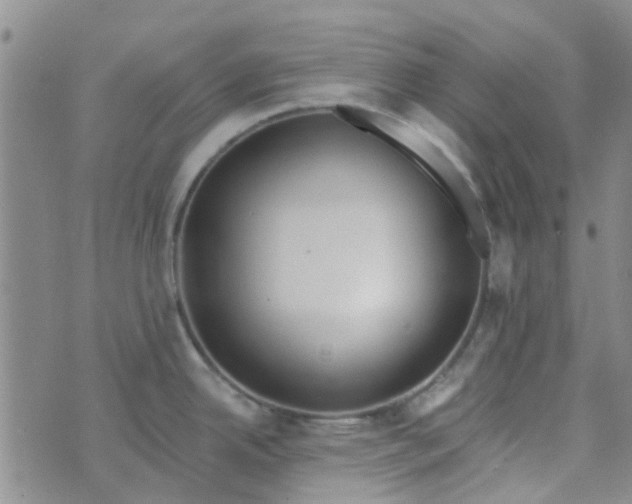 X0000070421342200606231843