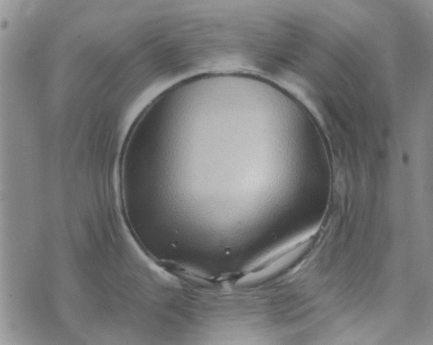 X0000070421343200606231843