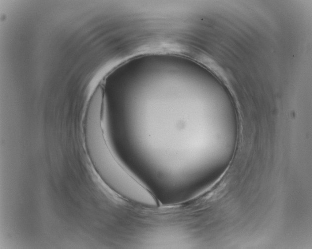 X0000070421344200606231843