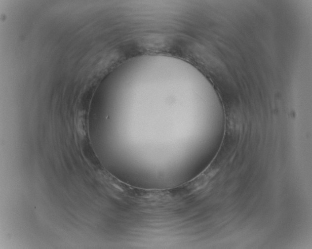 X0000070421346200606231843