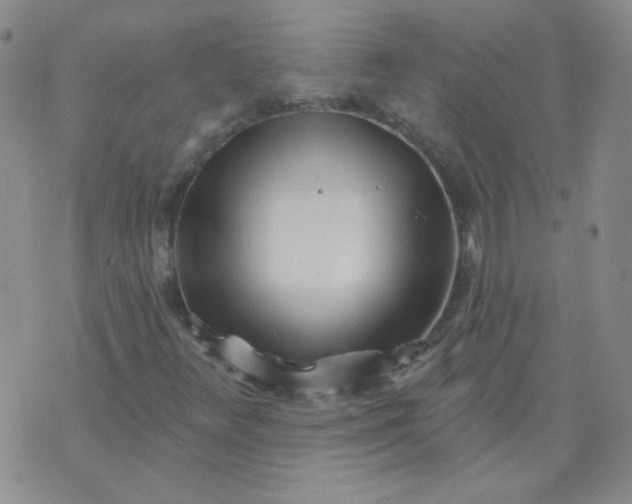 X0000070421348200606231843