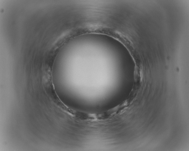 X0000070421349200606231843