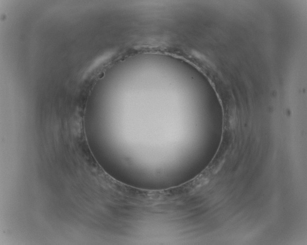 X0000070421350200606231843