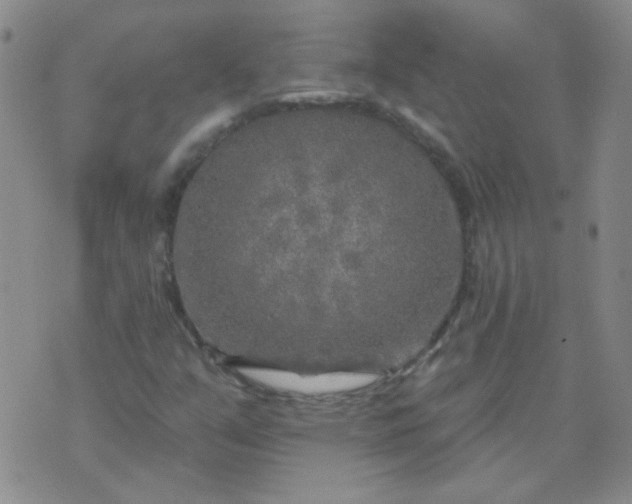 X0000070421351200606231843