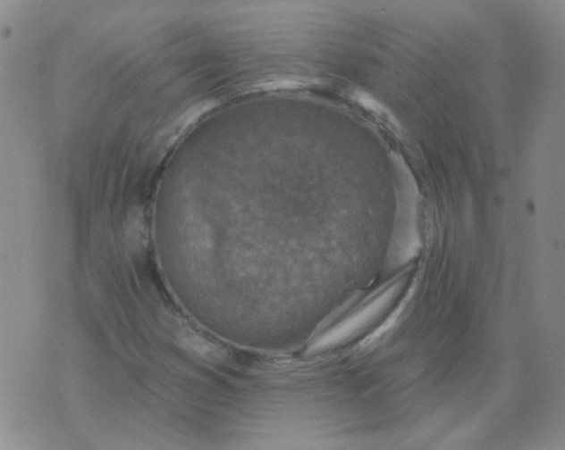 X0000070421353200606231843