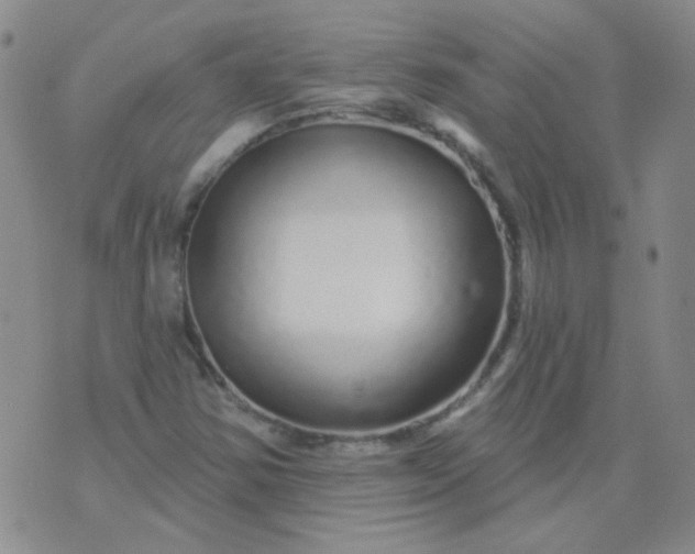 X0000070421354200606231843