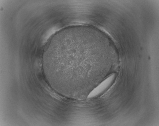 X0000070421355200606231843