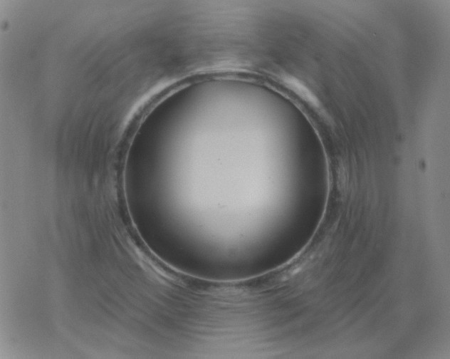 X0000070421356200606231842