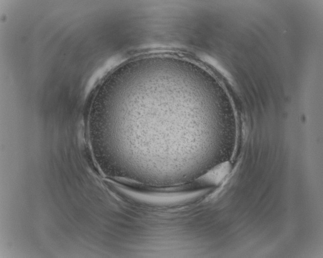 X0000070421357200606231842