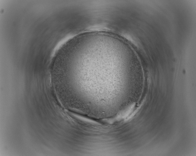 X0000070421358200606231842